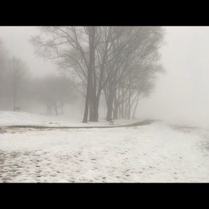 Meet your Posher, Brittney